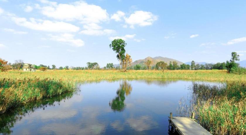 Cozi-wetland Hotel