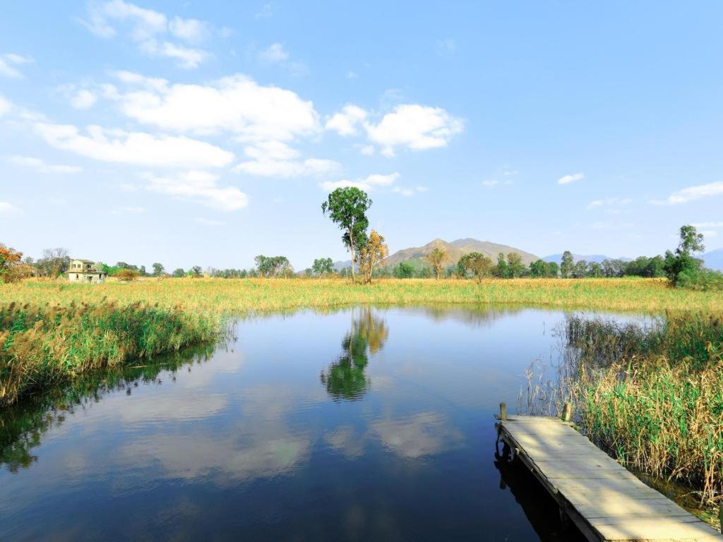 Cozi-wetland Hotel
